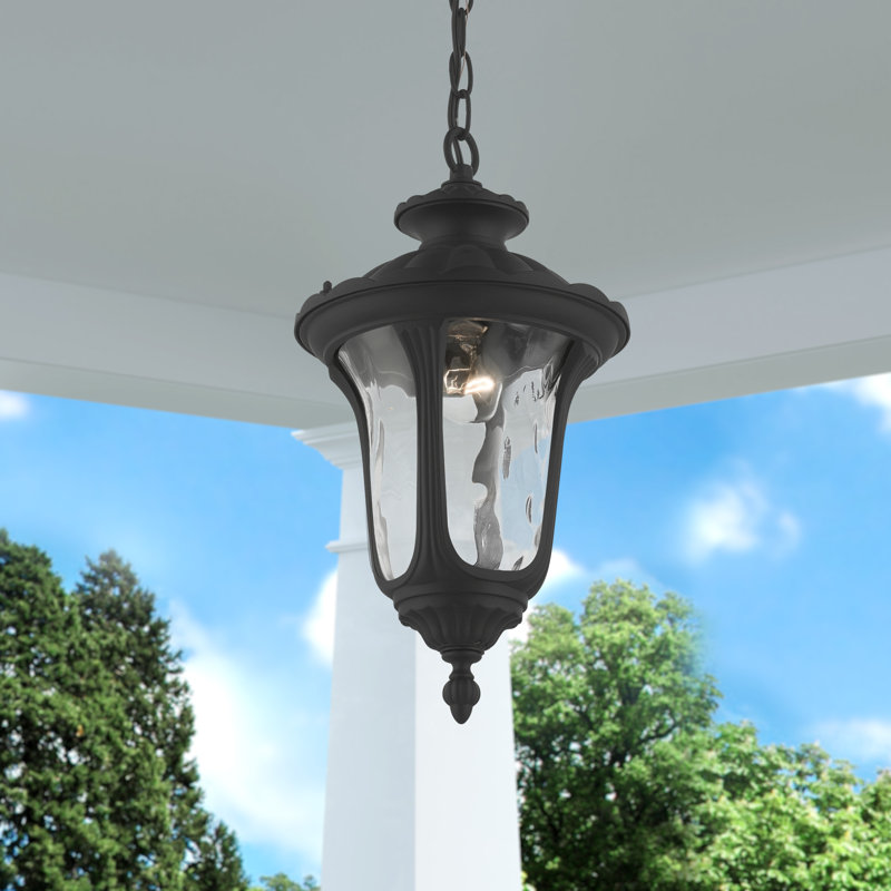 Luminaire suspendu d'extérieur Arelene, H 17,5 po x l 9,5 po, Noir texturé