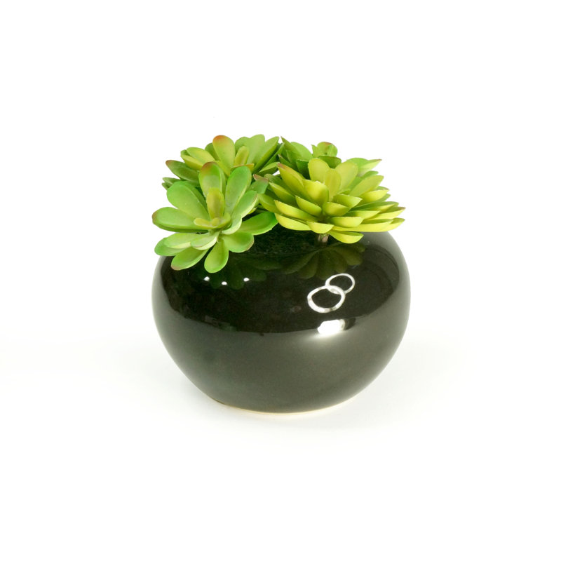 7.5'' Faux Succulent in Ceramic Vase