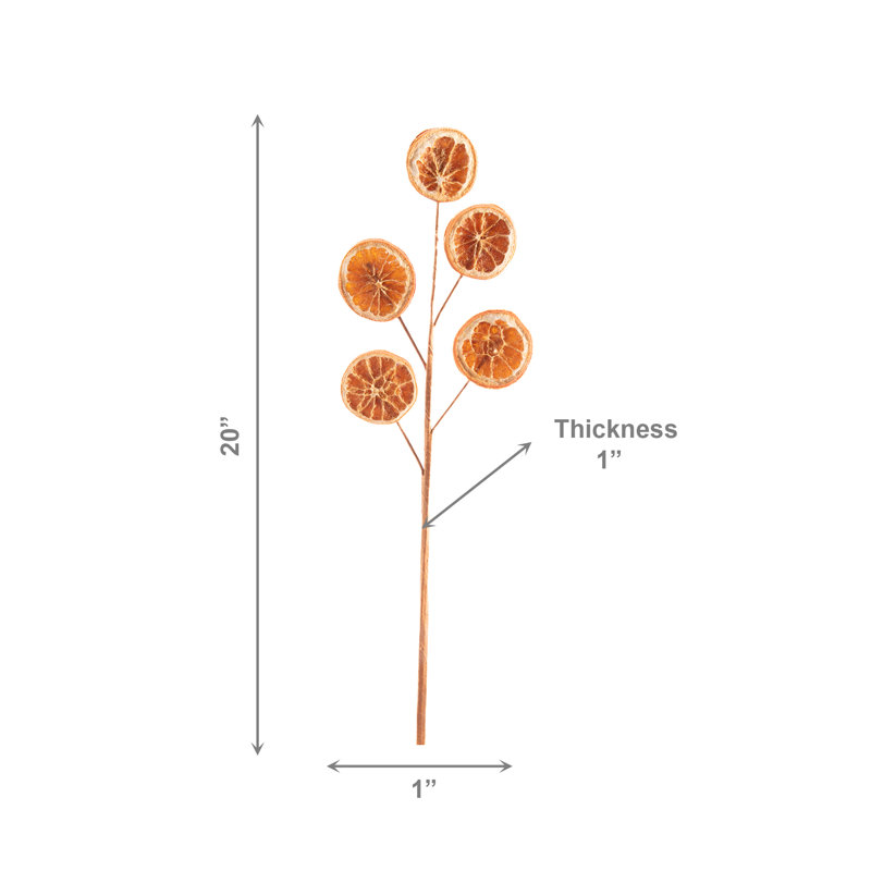 Choix naturel d'orange séchée naturelle - ensemble de 6