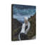 Wraps de la galerie «Albatross Couple»-308458139