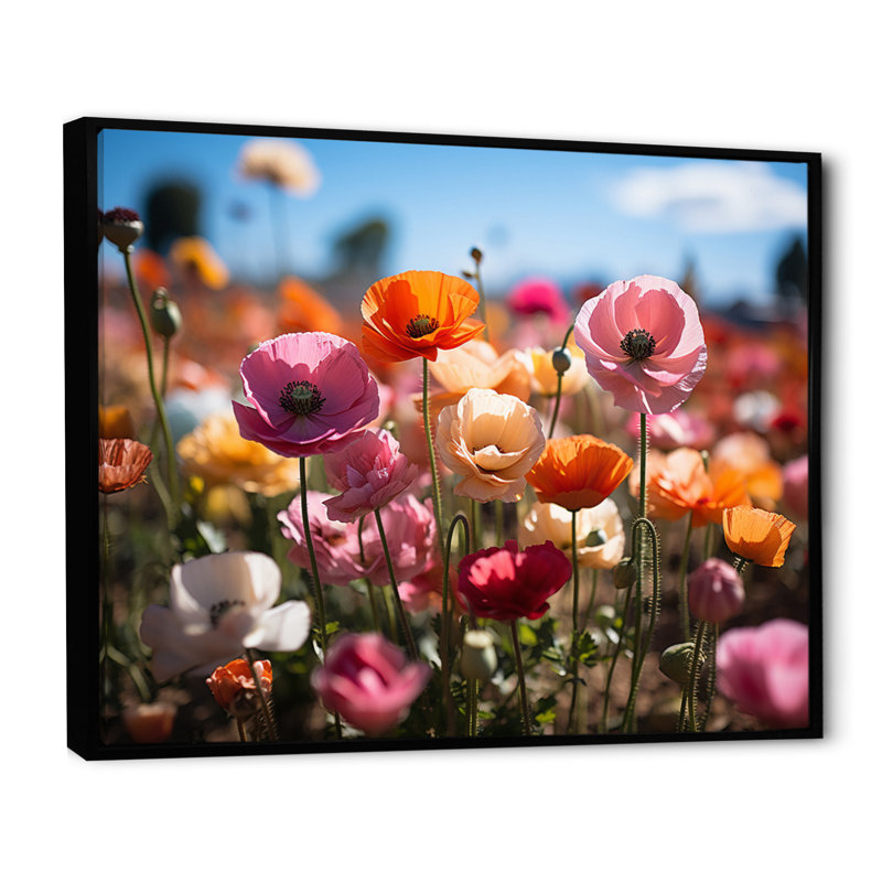 Champ de fleurs vibrantes I, H 16 po x l 32 po x P 1 po, Cadre flottant noir