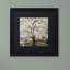 'Hampton Magnolia II' Framed Photographic Print-21026861-21026862