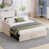 Beige est en rupture de stock