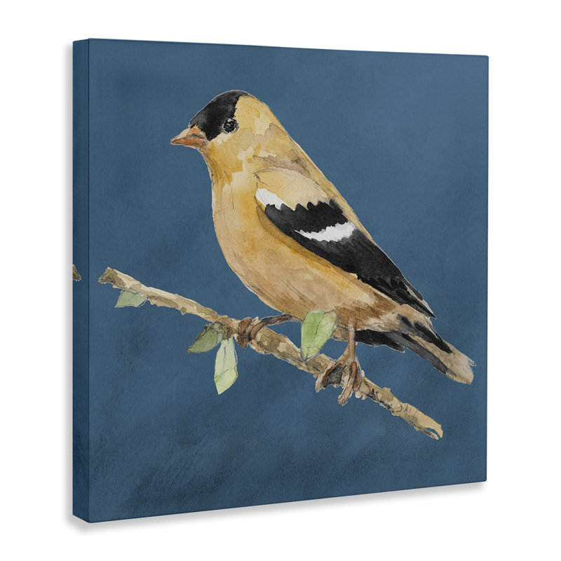 Art traditionnel sur toile, oiseau jaune traditionnel par Lanie Loreth, H 36 po x l 36 po