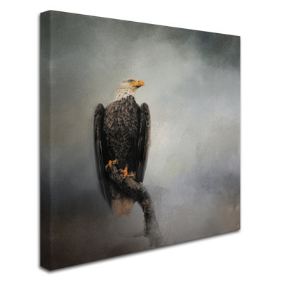 «High Perch Bald Eagle» par Vidur, impression sur toile tendue