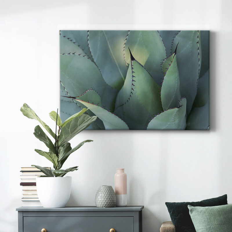 Agave bleue, toile tendue I-Gallery, H 12 po x l 18 po