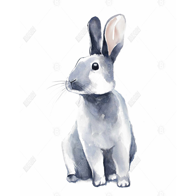 " Gray Curious Rabbit "