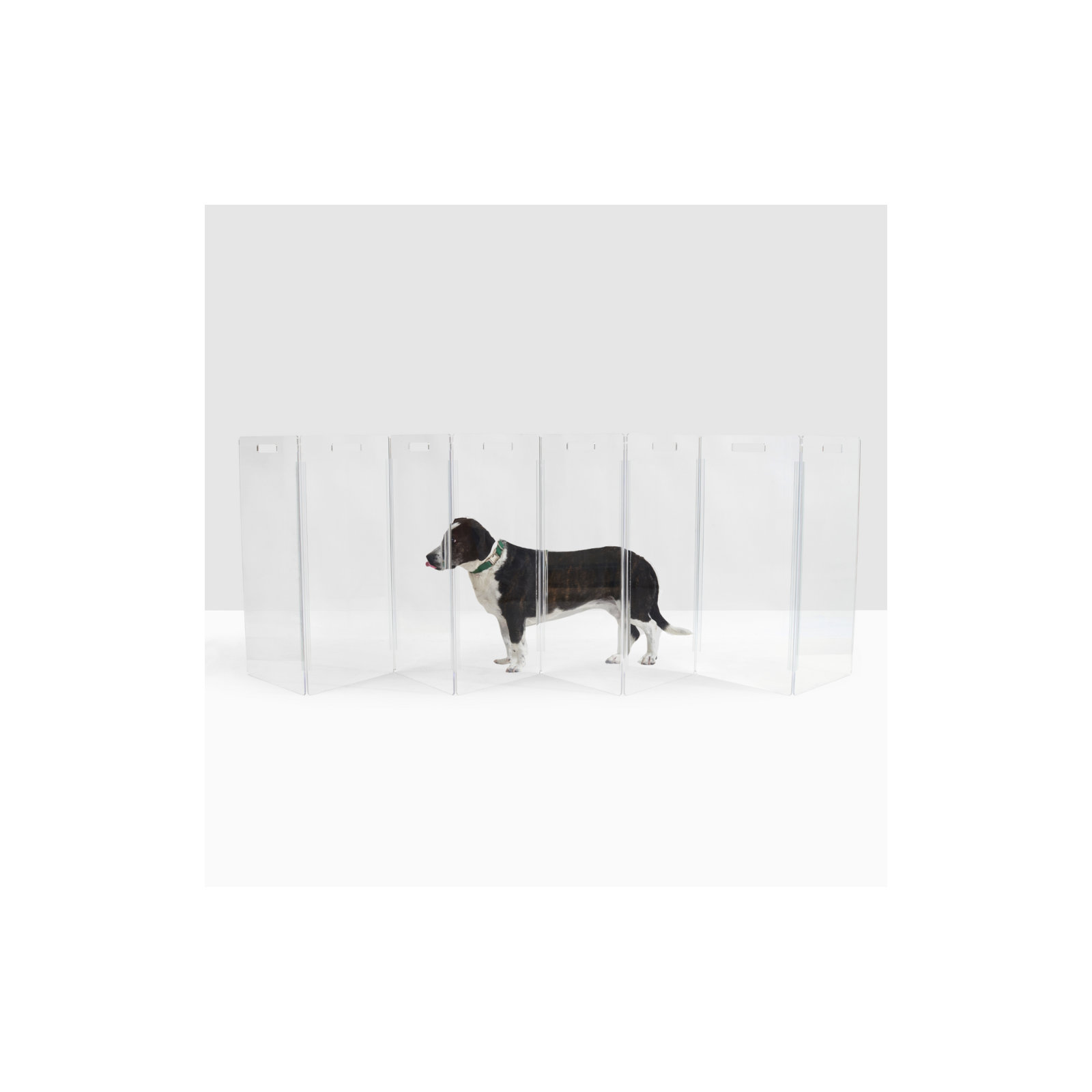 Tall Zig Zag Clear Pet Gate, 8-Panel