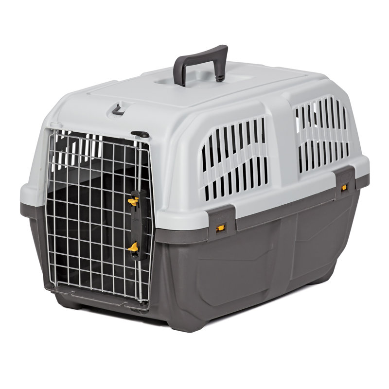 Cage de transport pour animaux Skudo, Très petit (H 12,75 po x l 12,75 po x P 18,88 po)