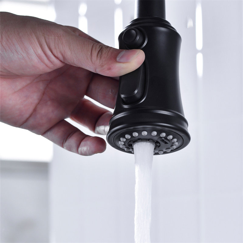 Robinet de cuisine Bridge avec douchette extractible