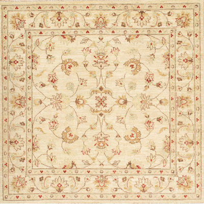 Milwaukee Wool Oriental Indoor Rug