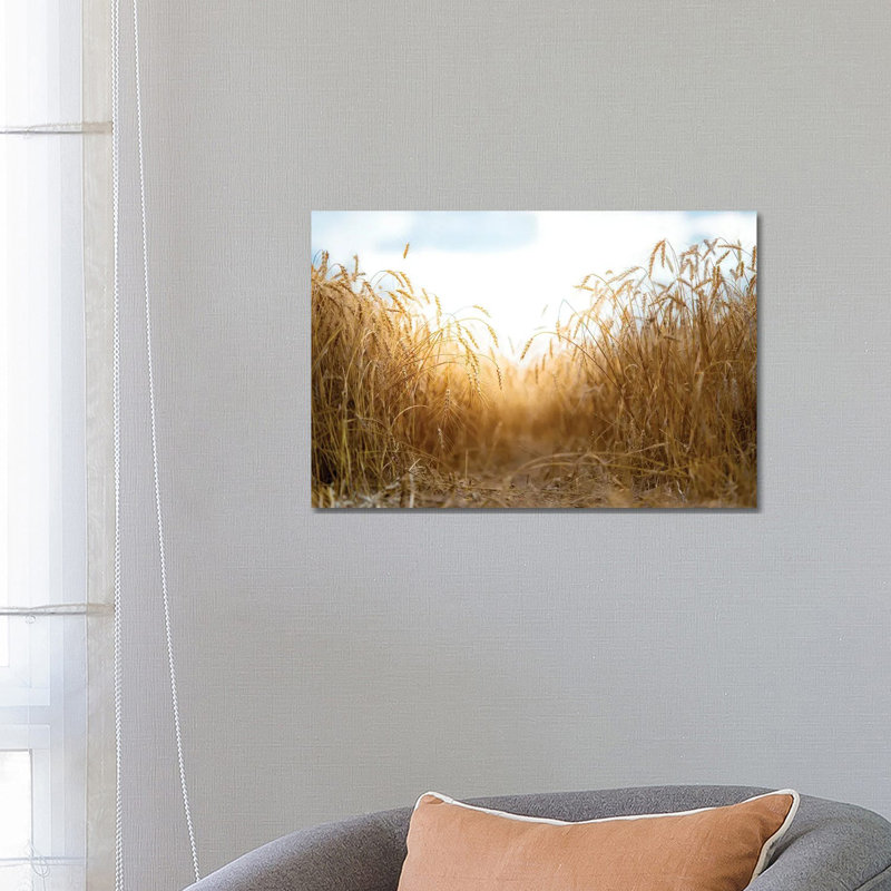 Millet Field Path In A Center by Nik Rave - Wrapped Canvas Gallery-Wrapped Canvas Giclée, 66.04 cm H x 45.72 cm W