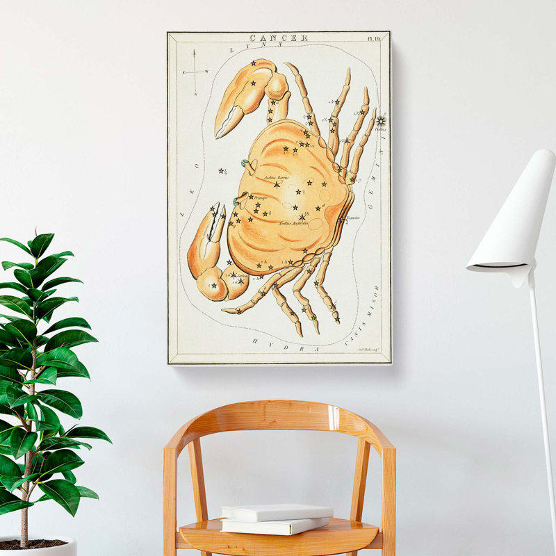 Astronomical Zodiac Chart Of The Cancer - Wrapped Canvas Print, 76cm H x 50cm W x 3cm D