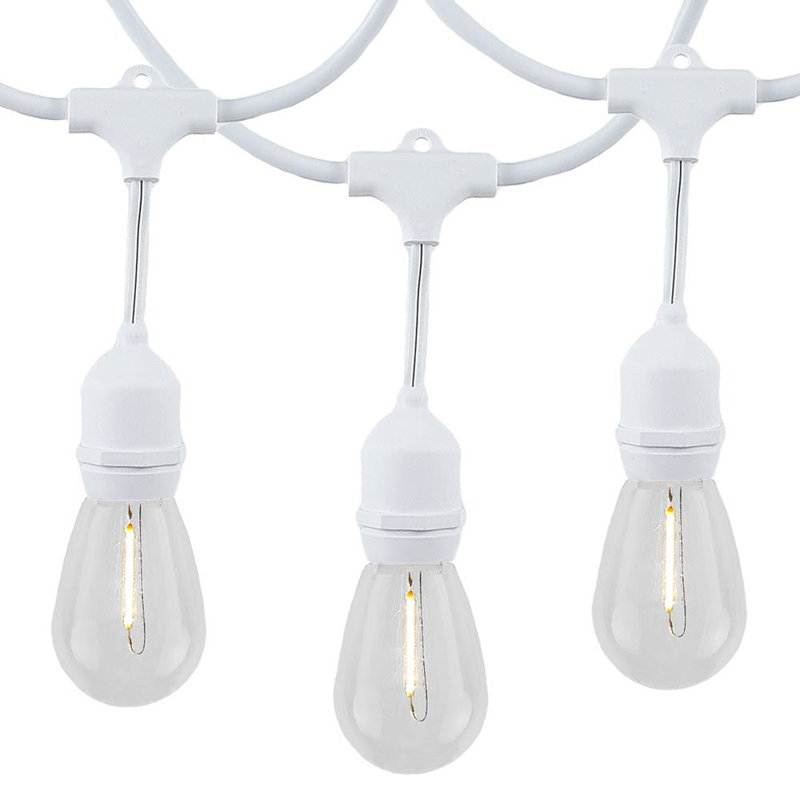 Outdoor 24 - Bulb 48'' Plug-in String Light, White