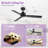 Bubacarr  48'' Matte Black Ceiling Fan with LED Light and Remote Control
