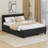 Alexondria Pyrmont Queen Size Upholstered Platform Bed With Headboard And Twin Size Trundle-1829423084