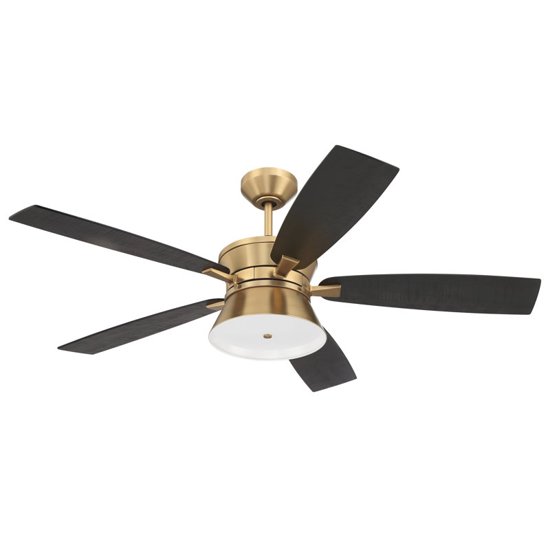 Ventilateur de plafond d'intérieur 52 po Dominick