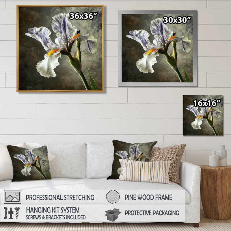 Art mural Merwin - Iris, H 36 po x l 36 po, Cadre flottant brun, bois massif