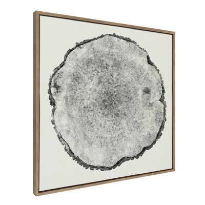 Jasera Tree Rings by Emiko and Mark Franzen - Floater Frame Painting Print on Canvas