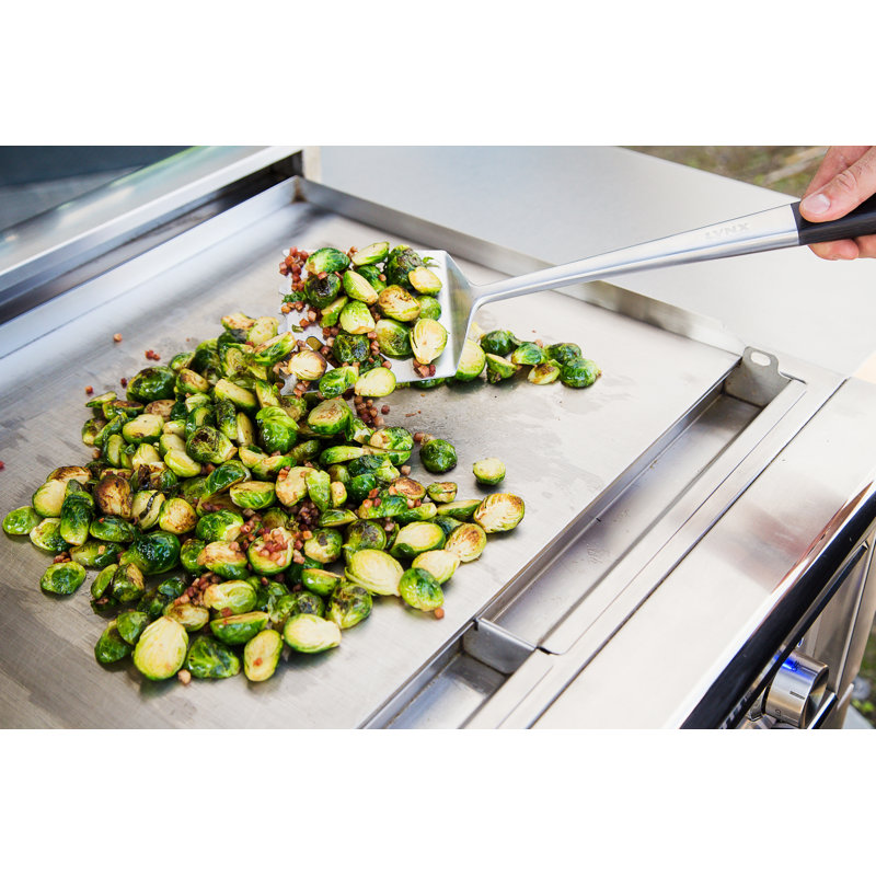 Lynx Professional 2-Burner Built-in Convertible Gas Grill, Natural Gas