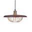 TORDILLO 1 - Light Brushed Gold Novelty Pendant