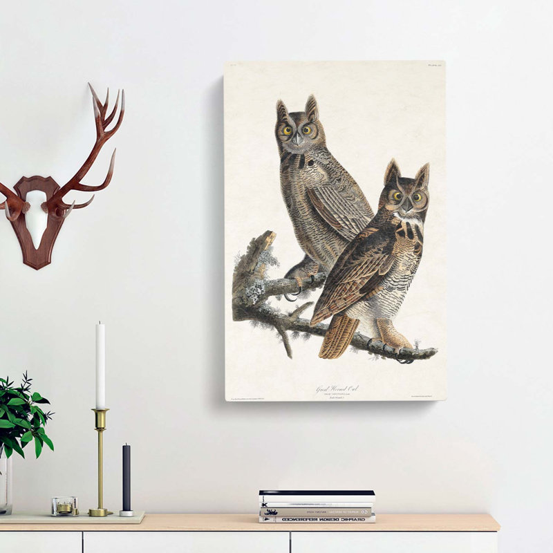 Great Horned Owls by John Audubon - Wrapped Canvas, 60cm H x 40cm W x 3cm D