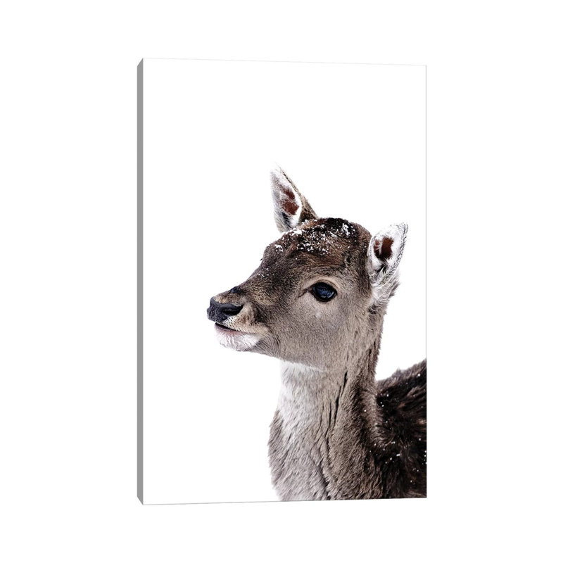 Little Fawn Fiona II by Monika Strigel - Wrapped Canvas Painting, 66.04 cm H x 45.72 cm W x 3.175 cm D