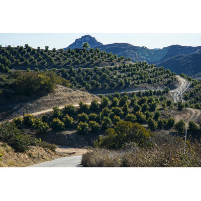 Avocado Grove Mountains by Jongorr