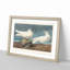 Ivory Gull by John Audubon - Picture Frame Painting Print-55576293-55576294