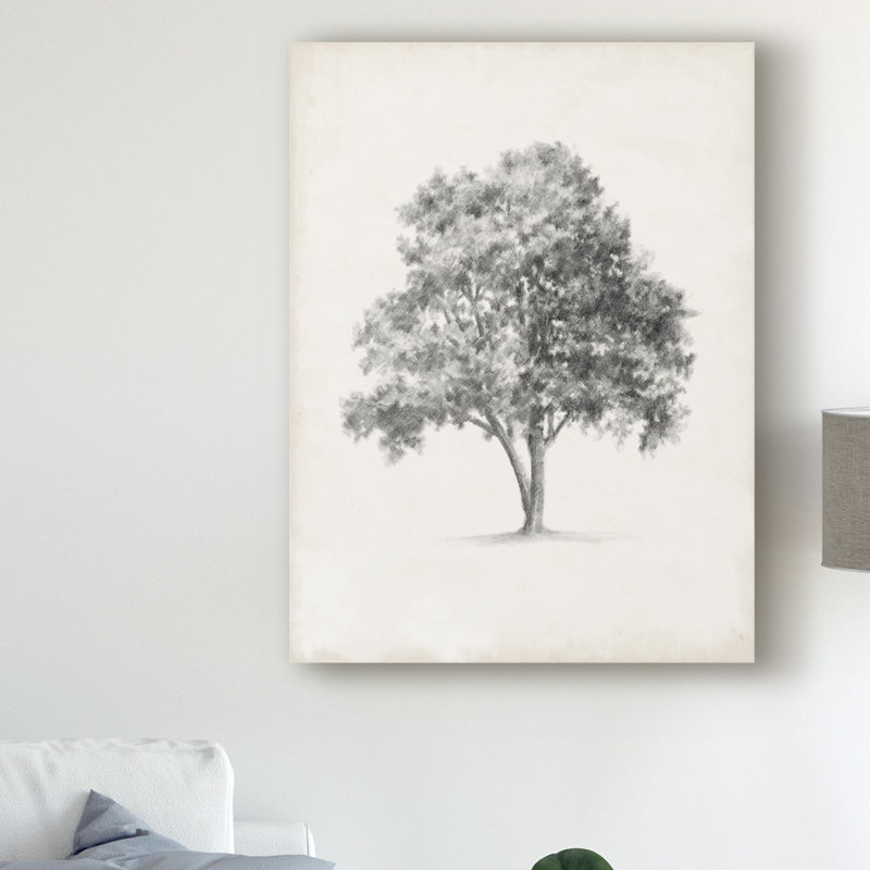 «Vintage Arbor Study I» par Ethan Harper, reproduction d'art graphique sur toile tendue, H 19 po x l 14 po x P 2 po
