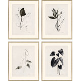 Noir I, II, III & IV Giclee Print by Carrier And Company