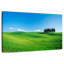 Collines toscanes d'Alvord-108888611