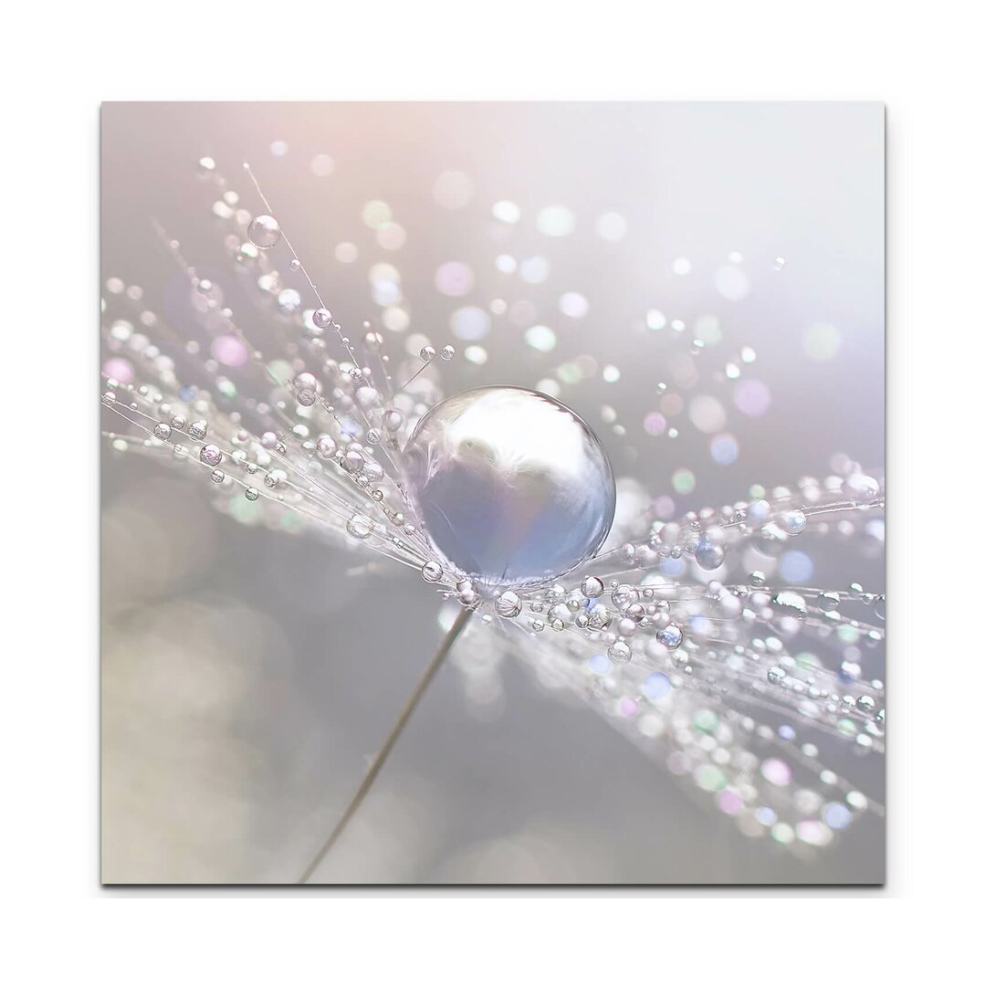 Leinwandbild Pusteblume mit Wassertropfen