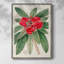 Impression encadrée FloraOf TheTropics III - bois massif-1294992912