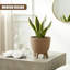 Pot Planter-1997531617-1997531618