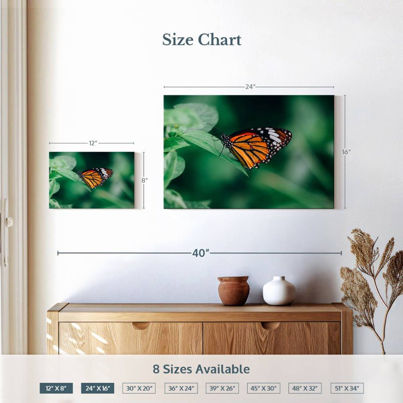 Brampt Orange Butterfly, 16" H x 24" W