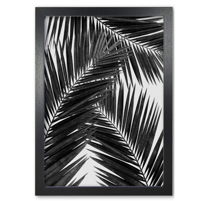 PaIm Leaf III - Print