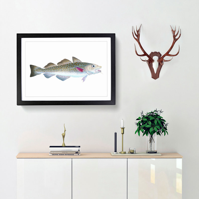 Atlantic Cod Fish by Edward Donovan - Framed Print, 33cm H x 45cm W x 2cm D, Black Framed