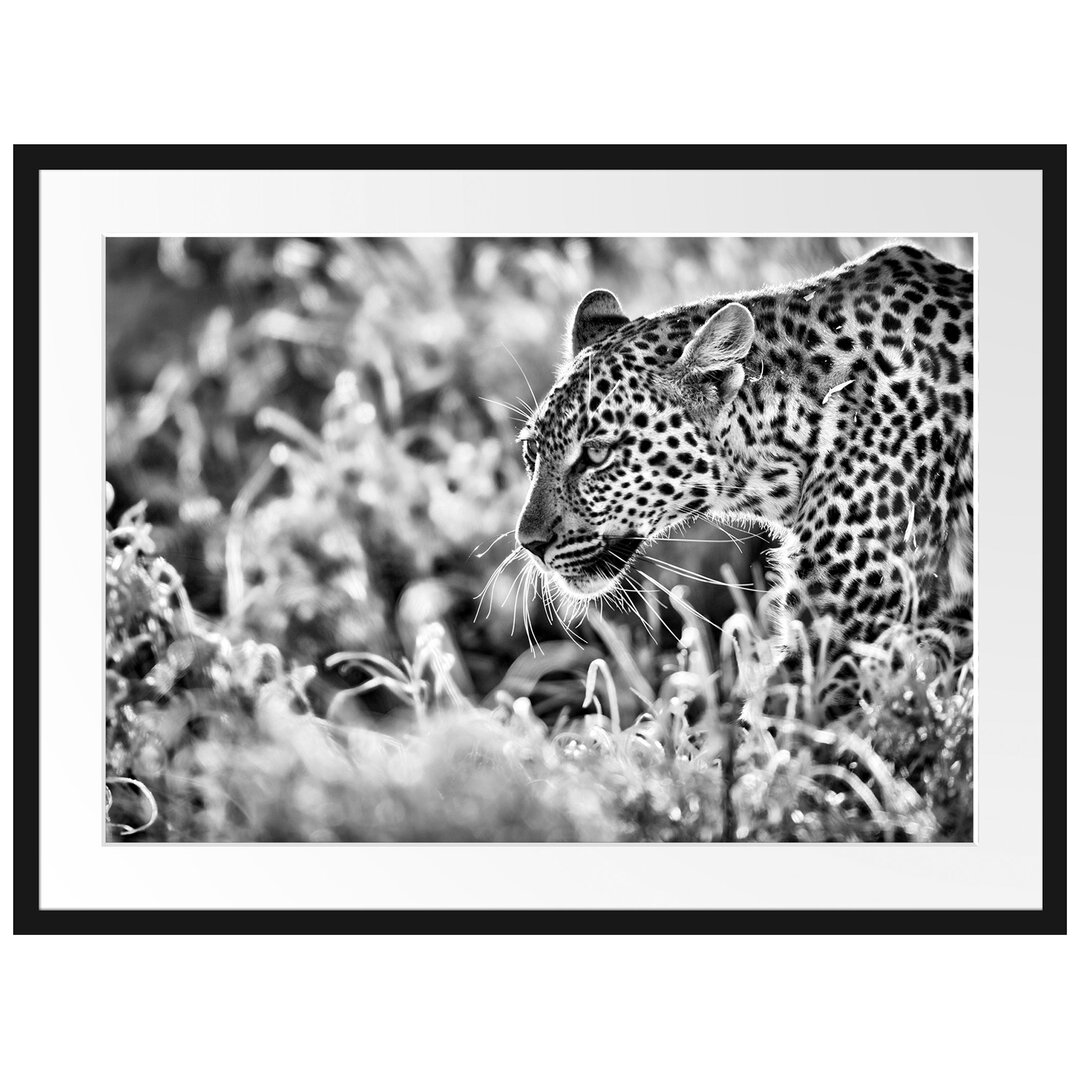 Gerahmtes Poster Jagender Leopard