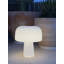 La lampe Boleti