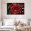 Rose rouge Harnek-108706719