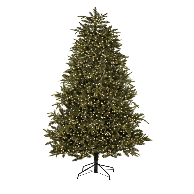1000 LED Treebrights, Warm White, 8 Hours on/16 Hours off