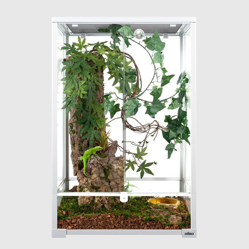 24'' x 18'' x 36'' Reptile Terrarium