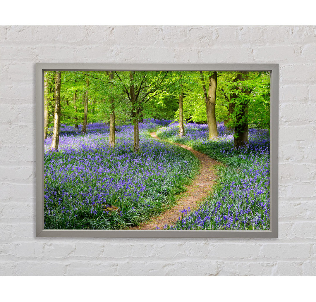 Walk Through The Bluebell Path - Einzelner Bilderrahmen Kunstdrucke auf Leinwand