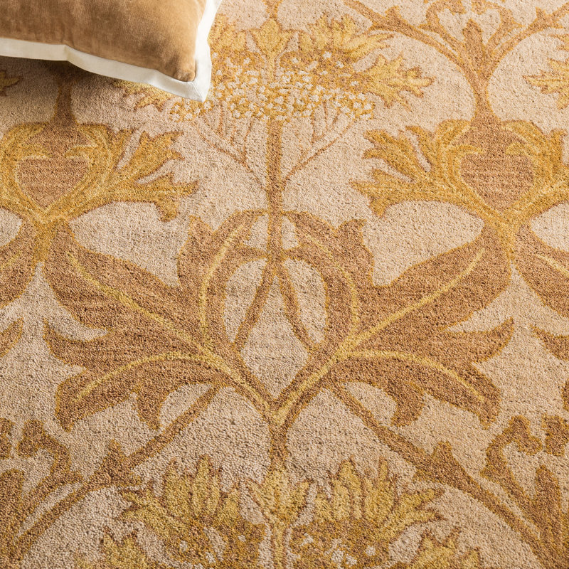 Antiquity Hand-Tufted Beige / Gold Area Rug, Rectangle 5' x 8'