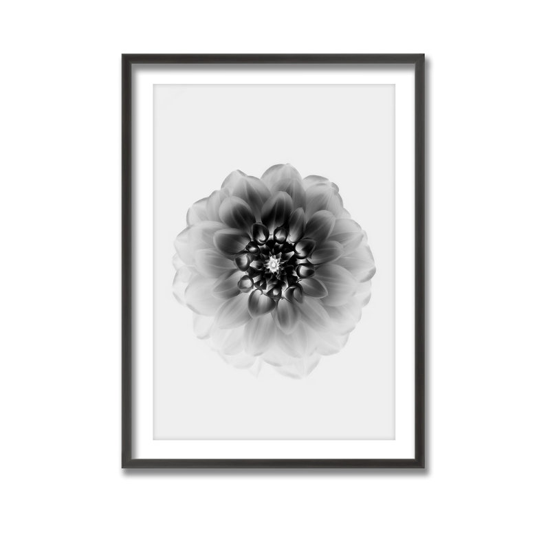 X-Ray Print by Alex Zhao, 24" H x 16" W 