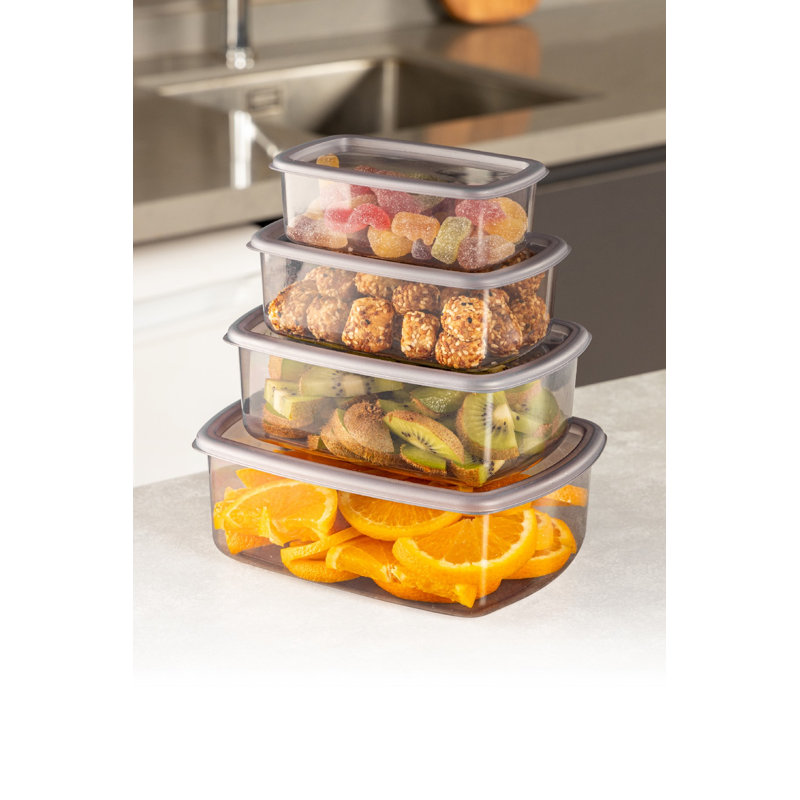 Ensemble de boîtes de rangement en plastique durable (4 pièces), anthracite, comprend: 3,1 x 4,9 x 1,6 po (8,5 oz liq.), 4,0 x 5,7 x 2,0 po (16,9 oz liq.), 4,6 x 6,5 x 2,3 po (25,4 oz liq.), 5,5 x 7,5 x 2,6 po (40,6 oz liq.) | Va au lave-vaisselle, idéal pour organiser la maison et le bureau