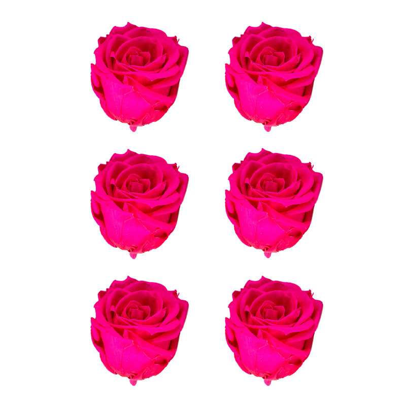 Faux rose, Rose foncé