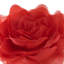 Housse de coussin décoratif décoratif à motif floral rose Simulation-1460310674-1460310673