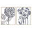 Belle Fleur I Print